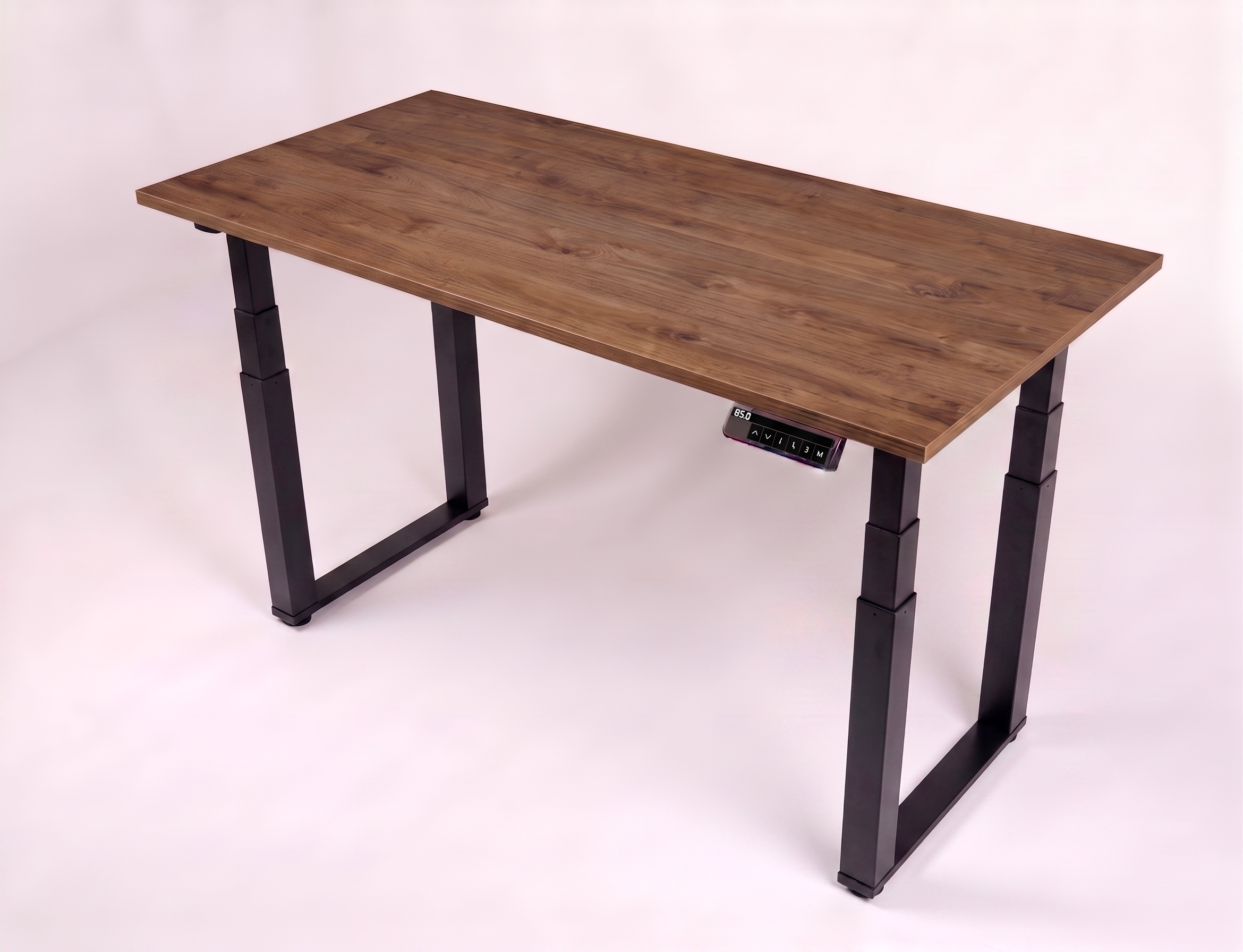 Harbor Oak